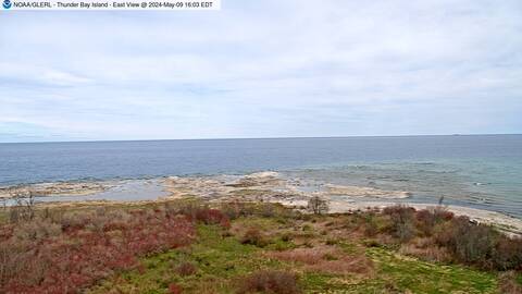 [Thunder Bay Island WebCam Image, frame 07]