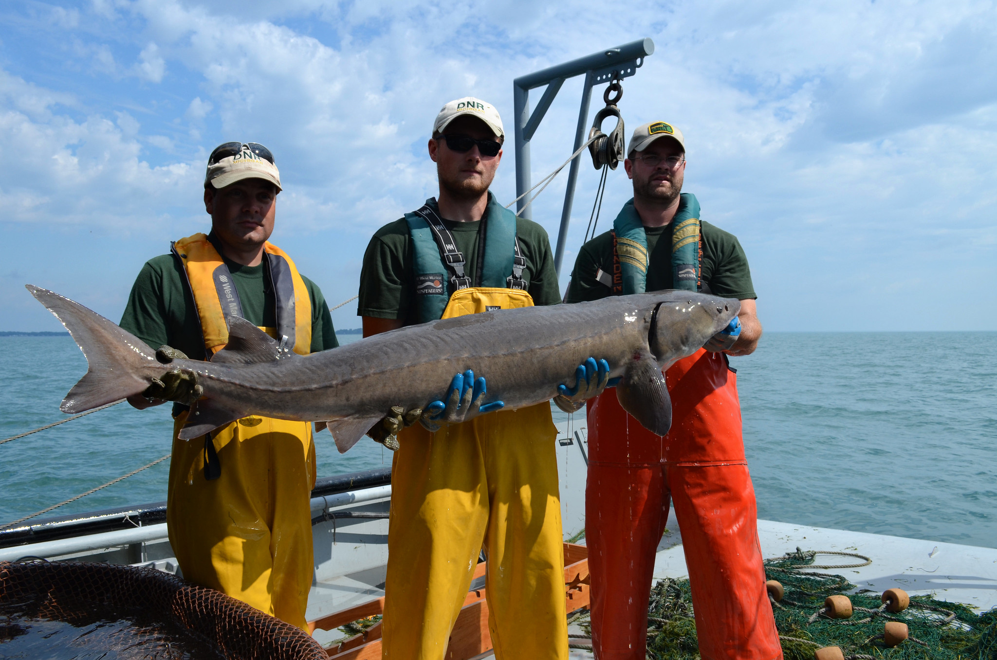 Three researchers aboard a boat hold up a large lake sturgeon that is as long as they are tall.