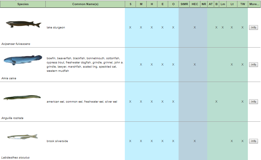 A screenshot of the Great Lakes Water Life search results, showing several species of native fish.