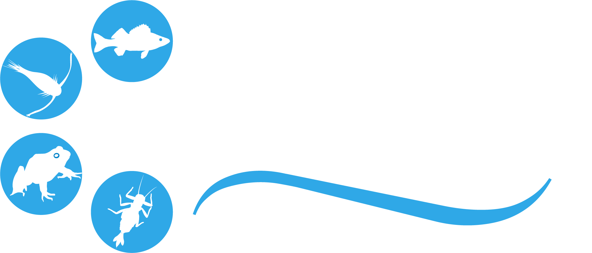 Go to Great Lakes Water Life Home Page