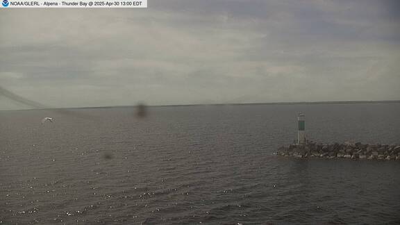 [Alpena WebCam Image, frame 14]