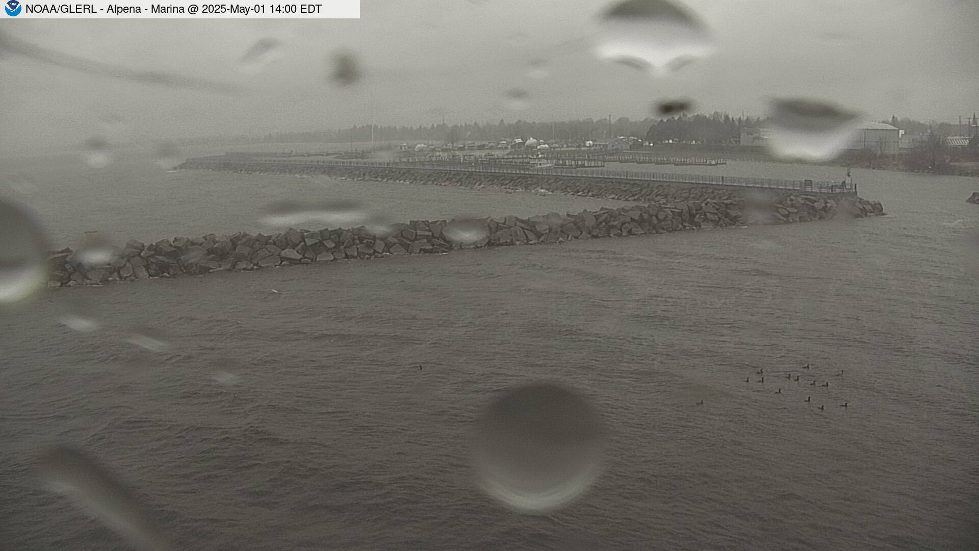 [Alpena WebCam #4]
