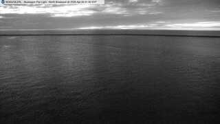 MKGLIGHT 1 webcam image