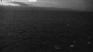 STD 3 webcam image