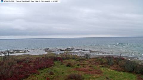 [Thunder Bay Island WebCam Image, frame 01]