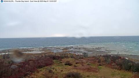 [Thunder Bay Island WebCam Image, frame 06]