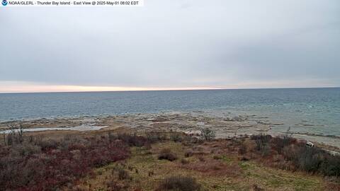 [Thunder Bay Island WebCam Image, frame 09]