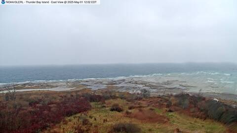 [Thunder Bay Island WebCam Image, frame 10]