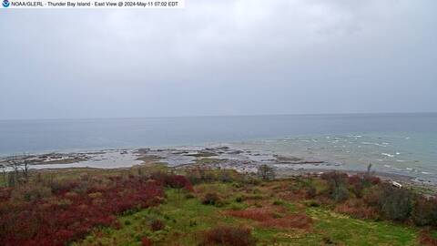 [Thunder Bay Island WebCam Image, frame 11]