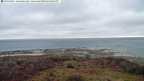 [Thunder Bay Island WebCam Image, frame 11]