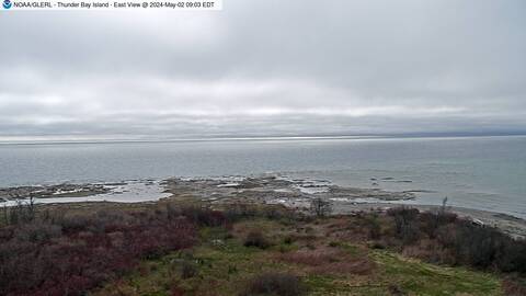 [Thunder Bay Island WebCam Image, frame 16]