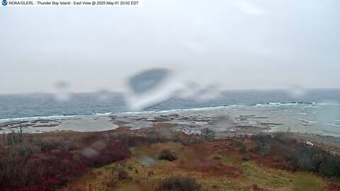 [Thunder Bay Island WebCam Image, frame 21]