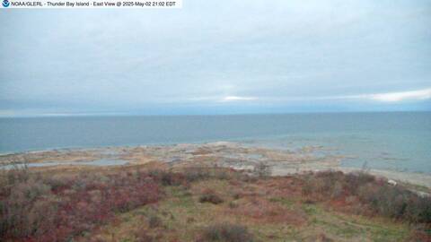 [Thunder Bay Island WebCam Image, frame 43]