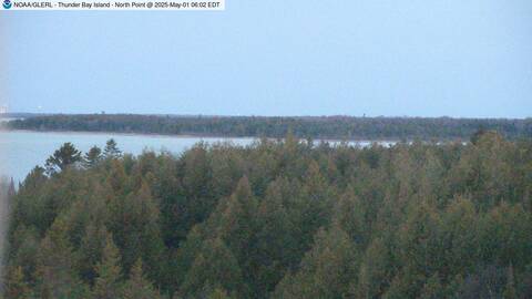 [Thunder Bay Island WebCam Image, frame 05]