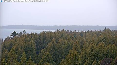 [Thunder Bay Island WebCam Image, frame 12]