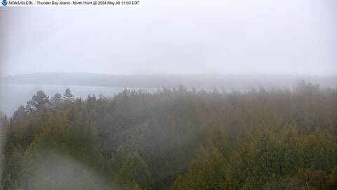 [Thunder Bay Island WebCam Image, frame 14]