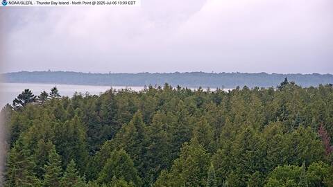 [Thunder Bay Island WebCam Image, frame 17]