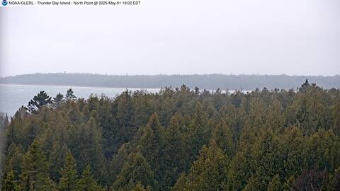 [Thunder Bay Island WebCam Image, frame 21]