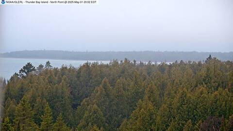 [Thunder Bay Island WebCam Image, frame 22]