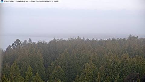 [Thunder Bay Island WebCam Image, frame 24]