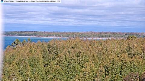 [Thunder Bay Island WebCam Image, frame 33]