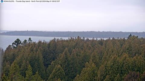 [Thunder Bay Island WebCam Image, frame 38]