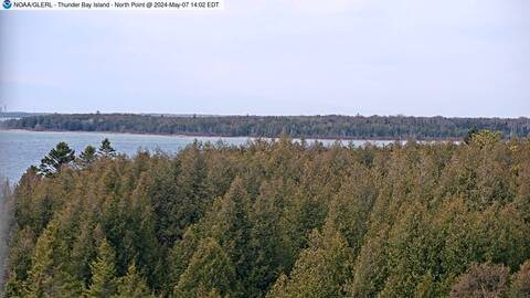 [Thunder Bay Island WebCam Image, frame 39]
