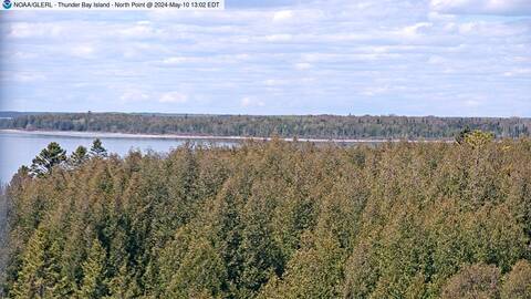 [Thunder Bay Island WebCam Image, frame 42]