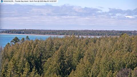 [Thunder Bay Island WebCam Image, frame 45]
