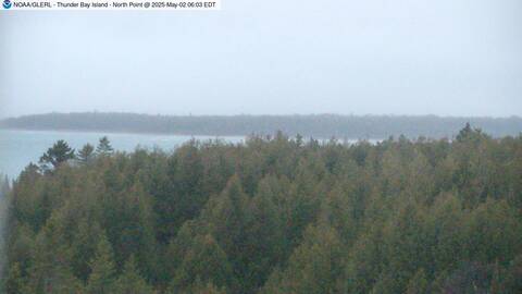 [Live Webcam Image from Thunder Bay Island, MI Met Station Camera 5]