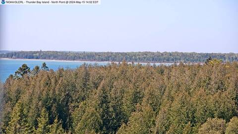 [Live Webcam Image from Thunder Bay Island, MI Met Station Camera 5]