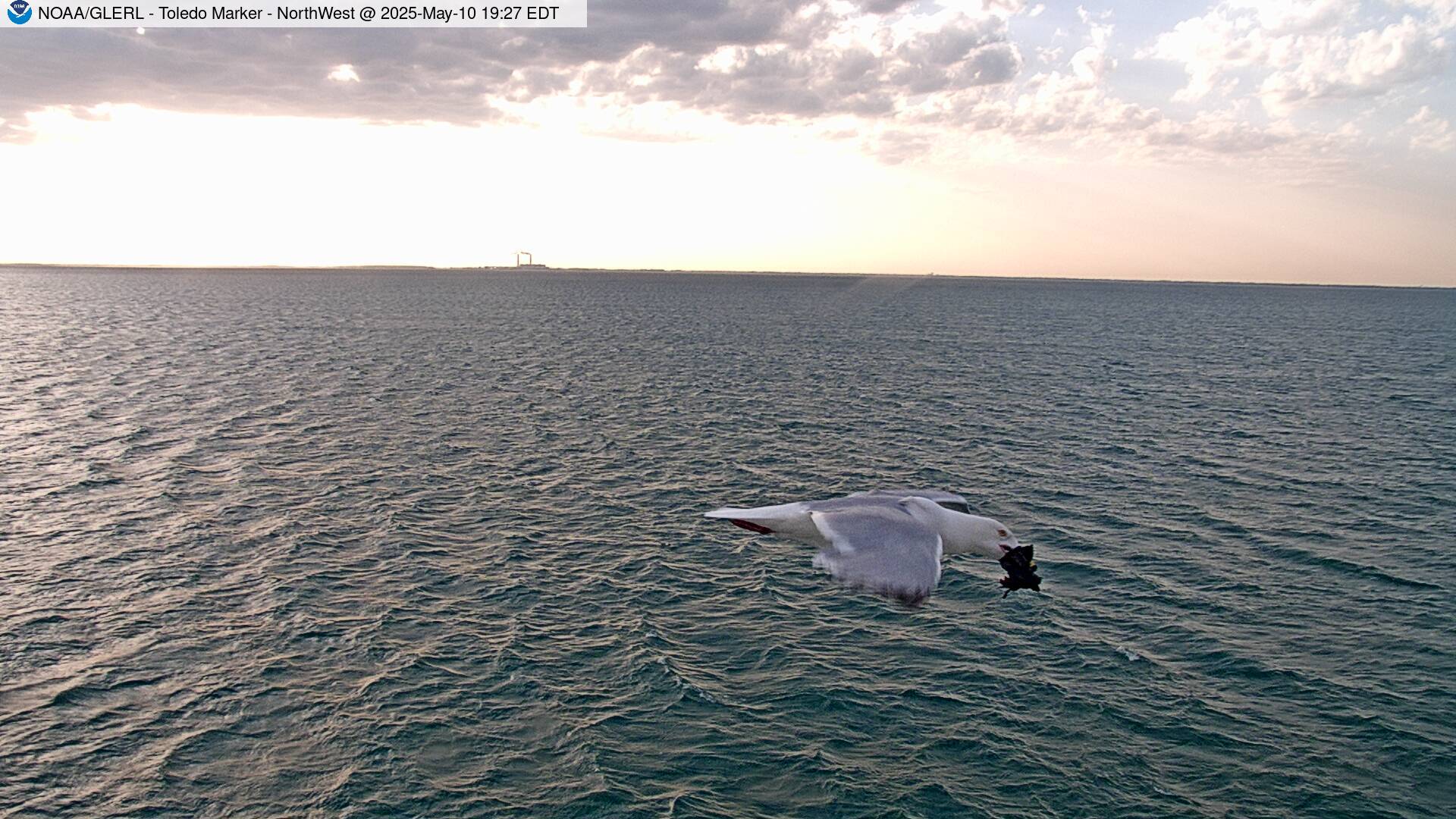 [Toledo Channel Marker WebCam #4]