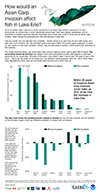 How would an Asian Carp invasion affect fish in Lake Erie?, click to open PNG