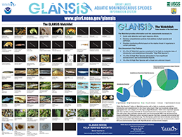 GLANSIS Watchlist Poster, click to open PDF