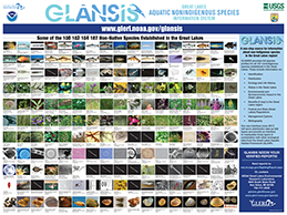 GLANSIS Poster, click to open PDF