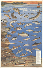 Fishes of the Great Lakes, click to open PDF.