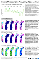 Invasive Mussels and the Productivity of Lake Michigan, click to open PNG