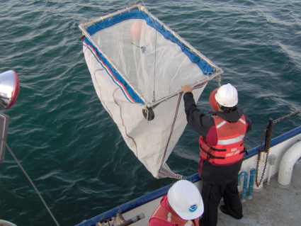 image of plankton net