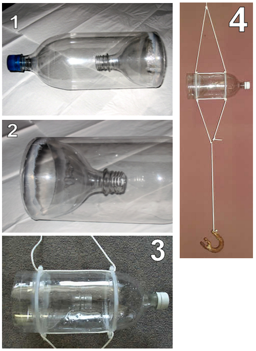 Images of bottle traps