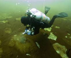 Photo of scuba diver