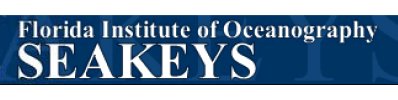 Seakeys Logo